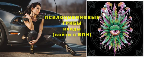 винт Аркадак